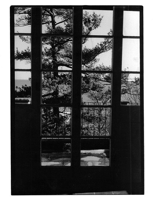 View out of a window of a balcony and a tree.