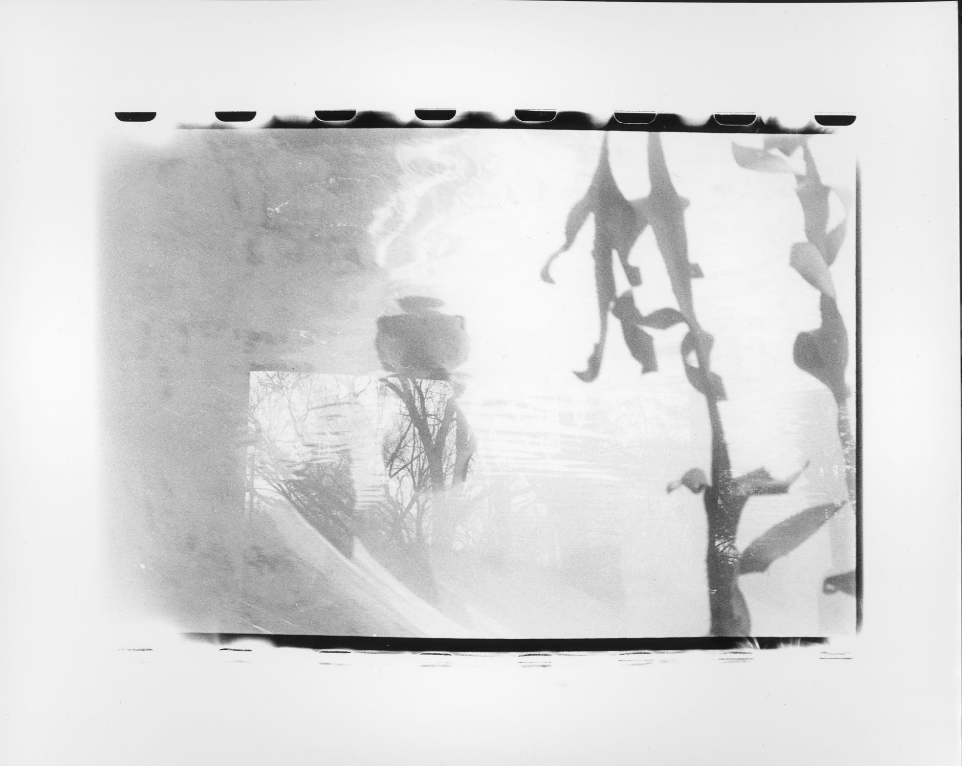 double exposure film photograph